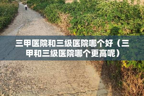 三甲医院和**医院哪个好（三甲和**医院哪个更高呢）