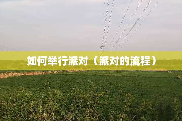 如何举行派对（派对的流程）