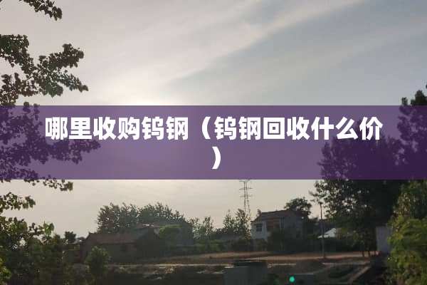 哪里收购钨钢（钨钢回收什么价）