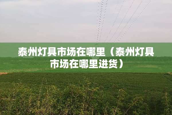 泰州灯具市场在哪里（泰州灯具市场在哪里进货）