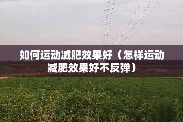 如何运动减肥效果好（怎样运动减肥效果好不反弹）
