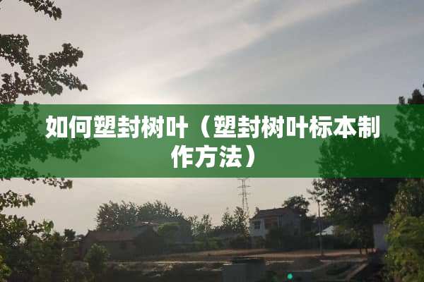 如何塑封树叶（塑封树叶标本制作方法）