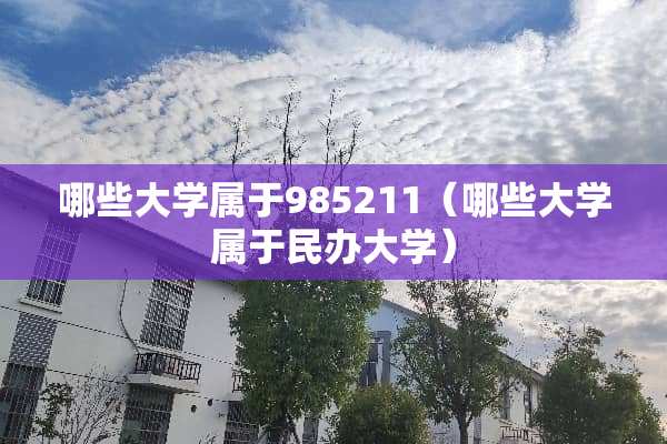 哪些大学属于985211（哪些大学属于民办大学）