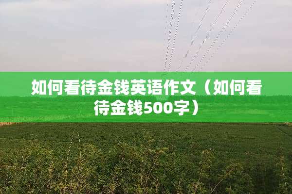 如何看待金钱英语作文（如何看待金钱500字）