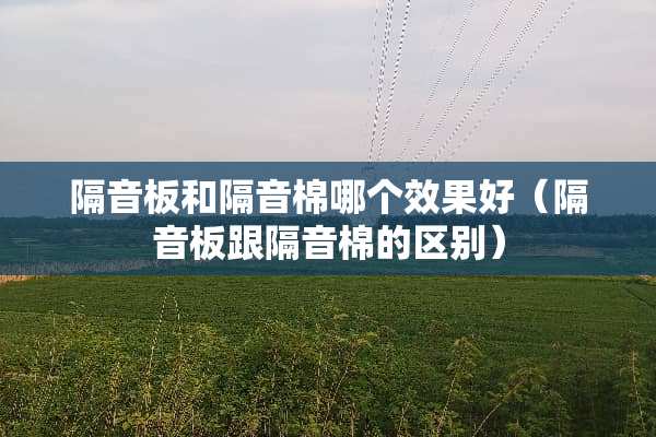 隔音板和隔音棉哪个效果好（隔音板跟隔音棉的区别）