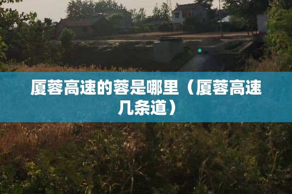 厦蓉高速的蓉是哪里（厦蓉高速几条道）