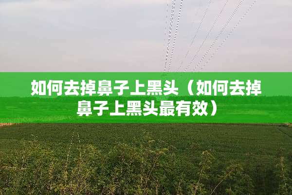 如何去掉鼻子上黑头（如何去掉鼻子上黑头最有效）