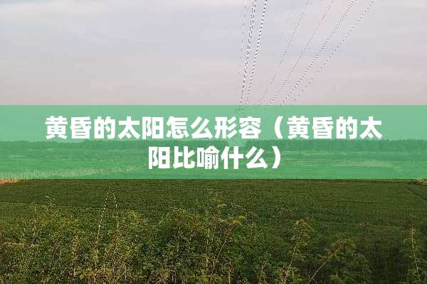 黄昏的太阳怎么形容（黄昏的太阳比喻什么）