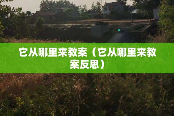 它从哪里来教案（它从哪里来教案反思）