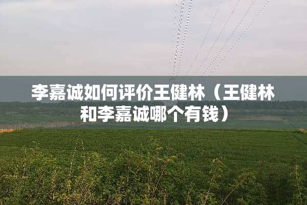 李嘉诚如何评价王健林（王健林和李嘉诚哪个有钱）