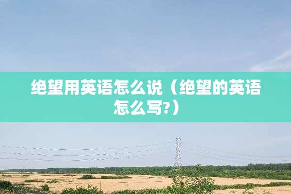 绝望用英语怎么说（绝望的英语怎么写?）