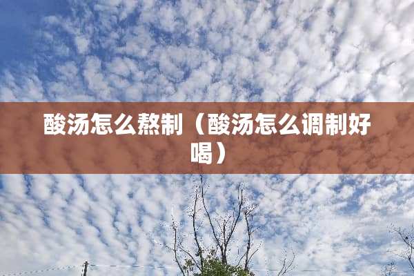 酸汤怎么熬制（酸汤怎么调制好喝）