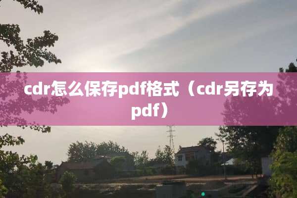 cdr怎么保存pdf格式（cdr另存为pdf）