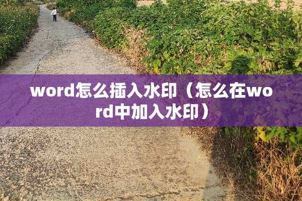 word怎么插入水印（怎么在word中加入水印）
