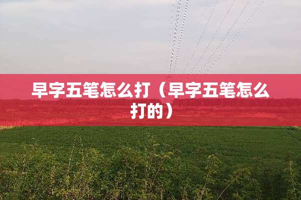 早字五笔怎么打（早字五笔怎么打的）