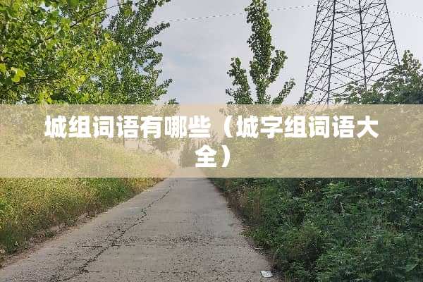 城组词语有哪些(城字组词语大全) 城组词语有哪些(城字组词语大全)