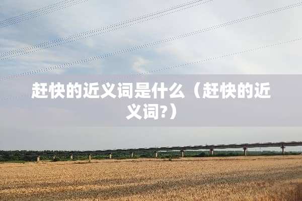 赶快的近义词是什么（赶快的近义词?）