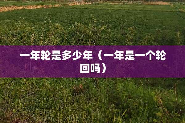 一年轮是多少年（一年是一个轮回吗）