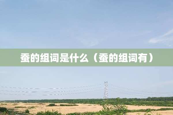 蚕的组词是什么（蚕的组词有）