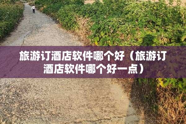 旅游订酒店软件哪个好（旅游订酒店软件哪个好一点）