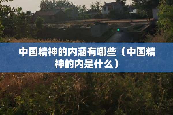 中国精神的内涵有哪些（中国精神的内是什么）
