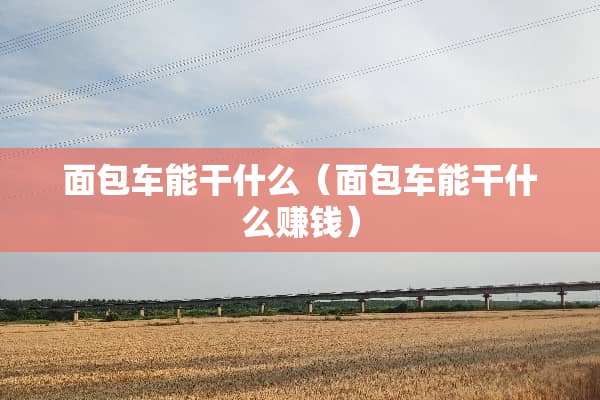 面包车能干什么（面包车能干什么赚钱）