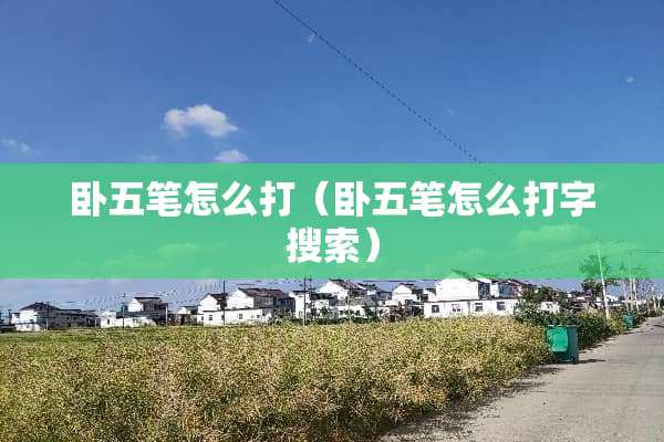 卧五笔怎么打（卧五笔怎么打字搜索）