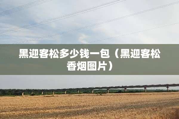 黑迎客松多少钱一包（黑迎客松香烟图片）