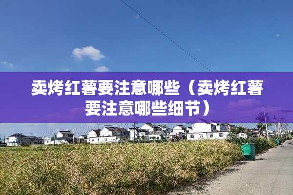 卖烤红薯要注意哪些（卖烤红薯要注意哪些细节）
