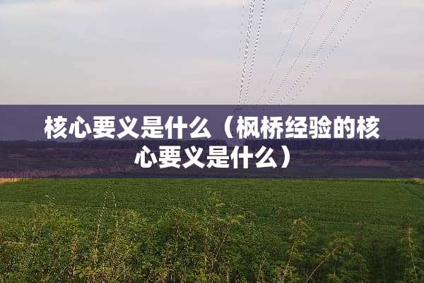 核心要义是什么（枫桥经验的核心要义是什么）