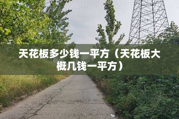 天花板多少钱一平方（天花板大概几钱一平方）