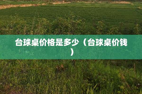 台球桌价格是多少(台球桌价钱) 台球桌价格是多少(台球桌价钱)