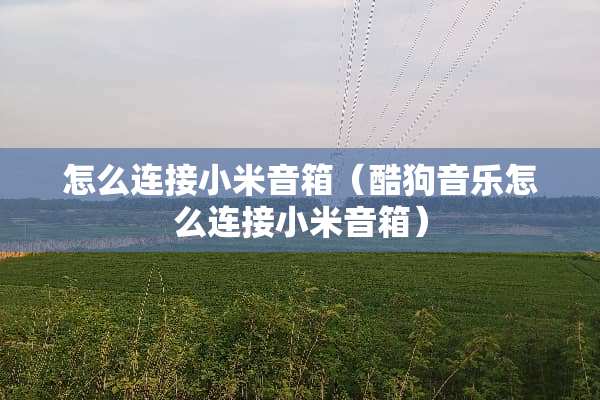 怎么连接小米音箱（酷狗音乐怎么连接小米音箱）