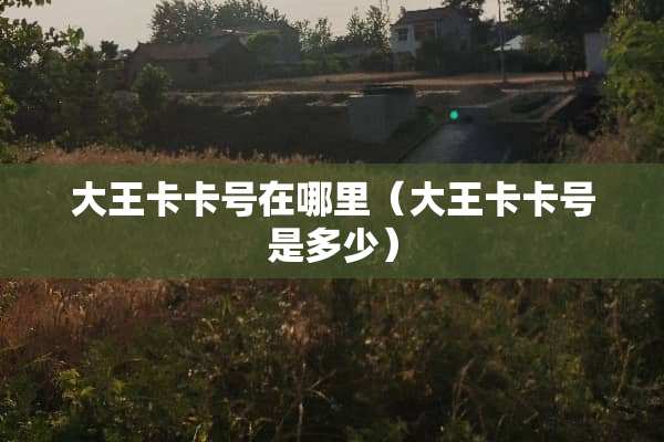 大王卡卡号在哪里(大王卡卡号是多少) 大王卡卡号在哪里(大王卡卡号是多少)