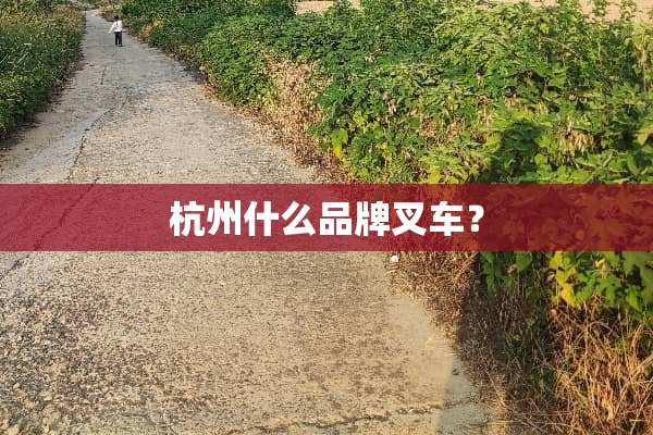 杭州什么品牌叉车？