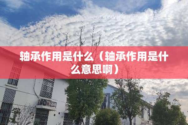 轴承作用是什么（轴承作用是什么意思啊）