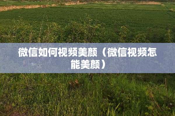 微信如何视频美颜(微信视频怎能美颜) 微信如何视频美颜(微信视频怎能美颜)