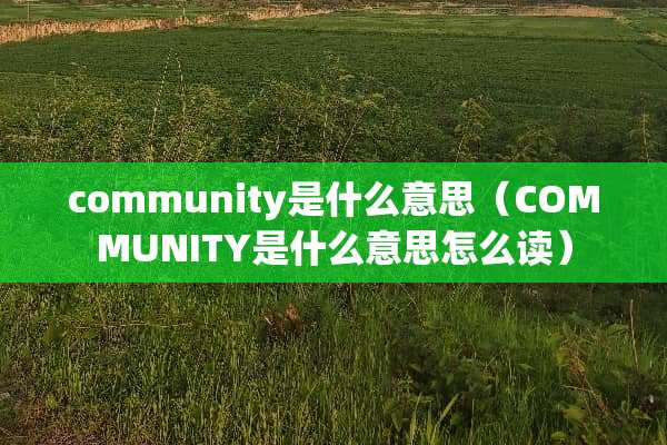 community是什么意思(COMMUNITY是什么意思怎么读) community是什么意思(COMMUNITY是什么意思怎么读)