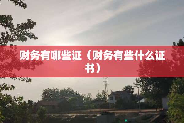 财务有哪些证（财务有些什么证书）