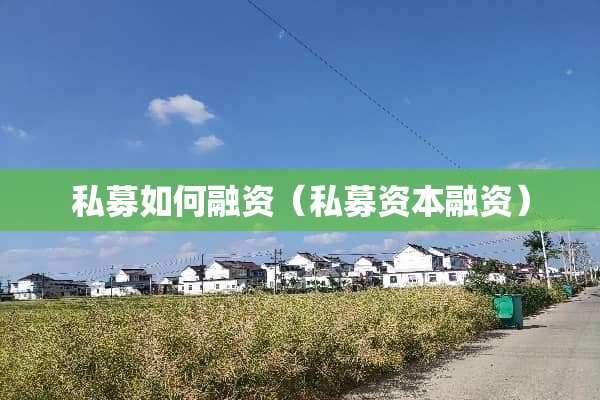 私募如何融资（私募资本融资）