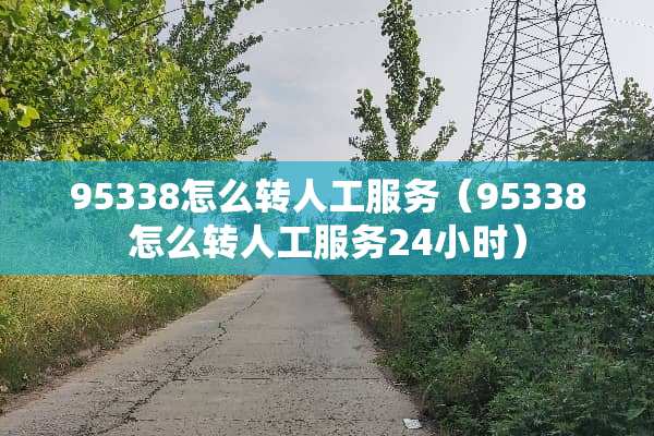 95338怎么转人工服务（95338怎么转人工服务24小时）