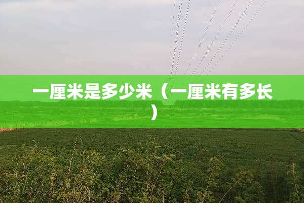 一厘米是多少米（一厘米有多长）