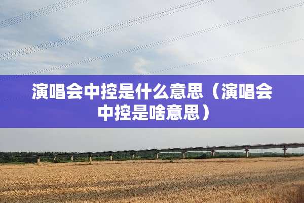演唱会中控是什么意思（演唱会中控是啥意思）