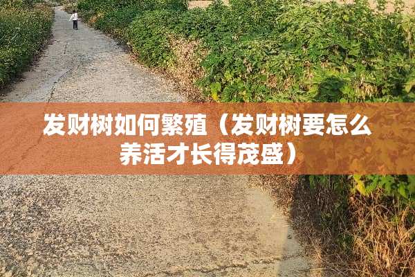 发财树如何繁殖（发财树要怎么养活才长得茂盛）
