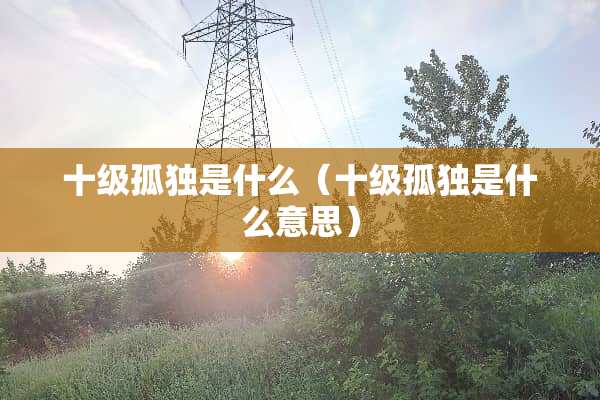 十级孤独是什么（十级孤独是什么意思）