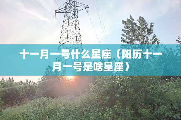 十一月一号什么星座（阳历十一月一号是啥星座）