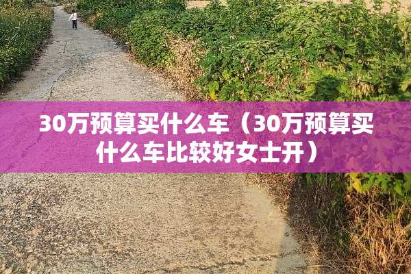 30万预算买什么车（30万预算买什么车比较好女士开）