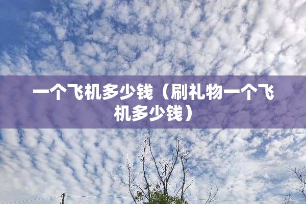 一个飞机多少钱（刷礼物一个飞机多少钱）