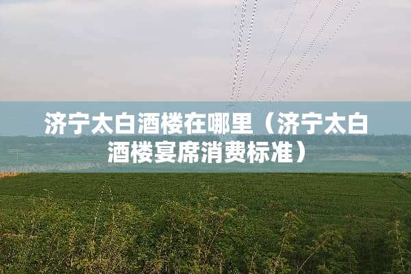 济宁太白酒楼在哪里（济宁太白酒楼宴席消费标准）