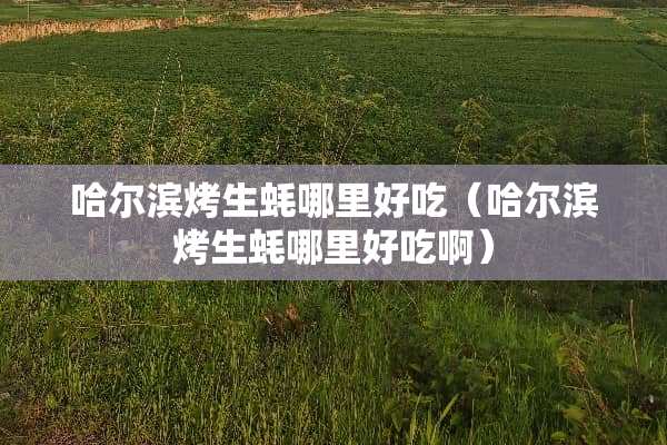 哈尔滨烤生蚝哪里好吃（哈尔滨烤生蚝哪里好吃啊）